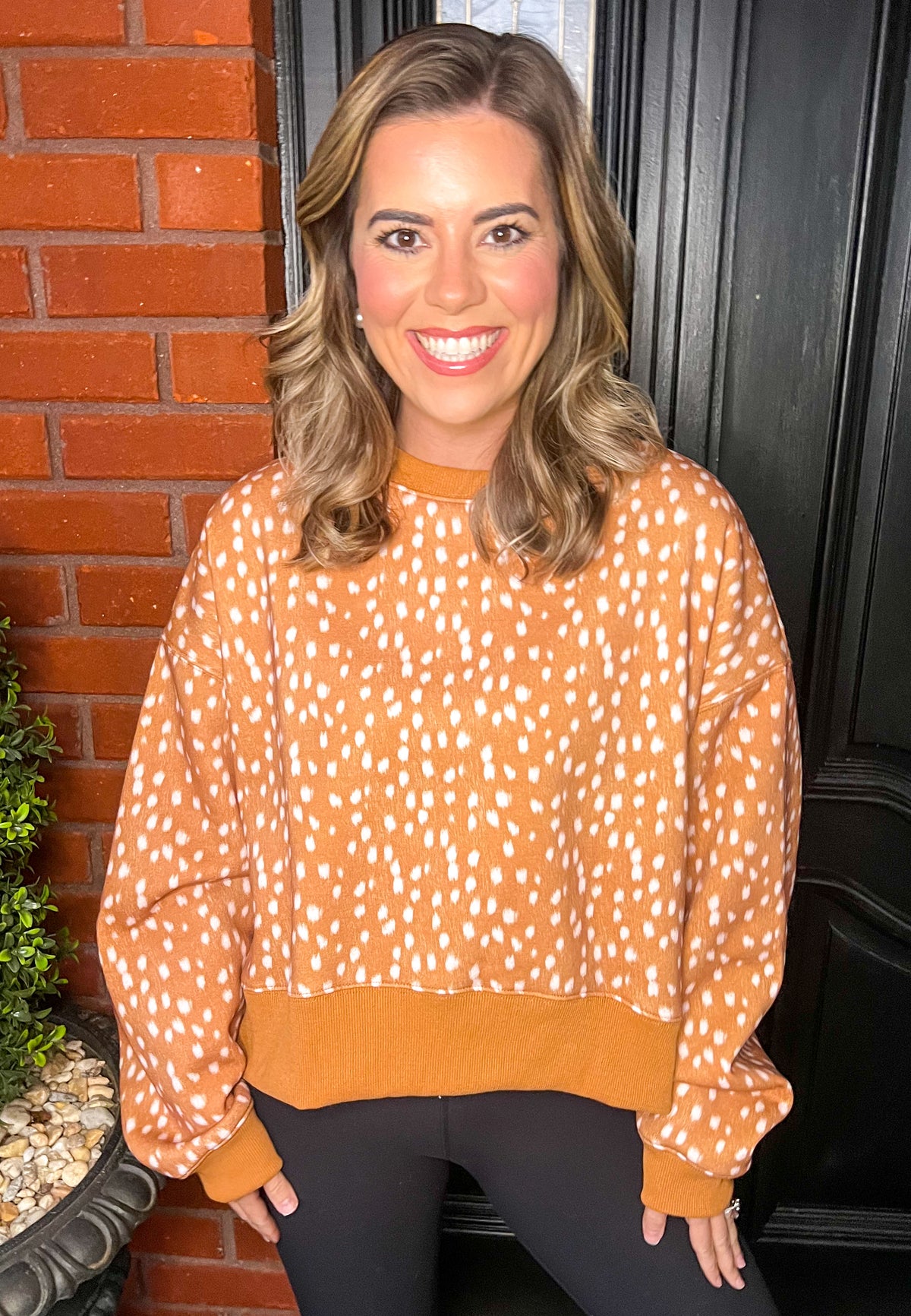 Fawn Sweatshirt